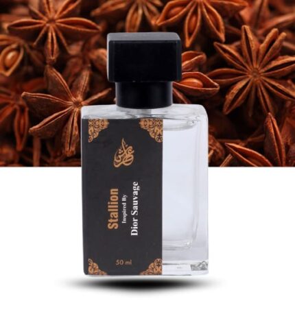 Stallion - Inspired By Sauvage